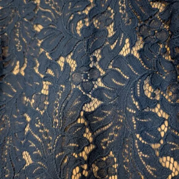 Banana Republic Women's Navy Lace Overlay Fluted Dress - Picture 7 of 7